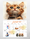 Cats wall calendar 2025