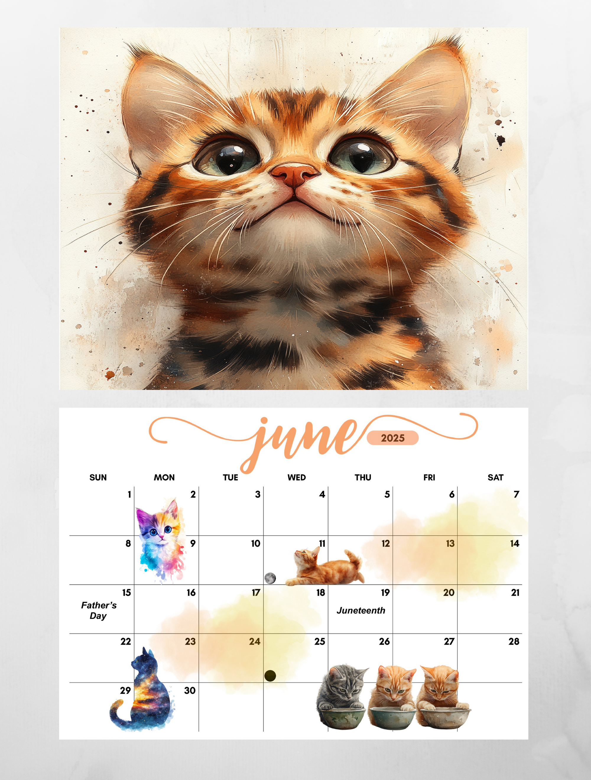 SHCHME Calendar 2025,12 Months January to December Funny Wall Calendar SHCHME Calendar 2025,12 Months January to December Funny Wall Calendar