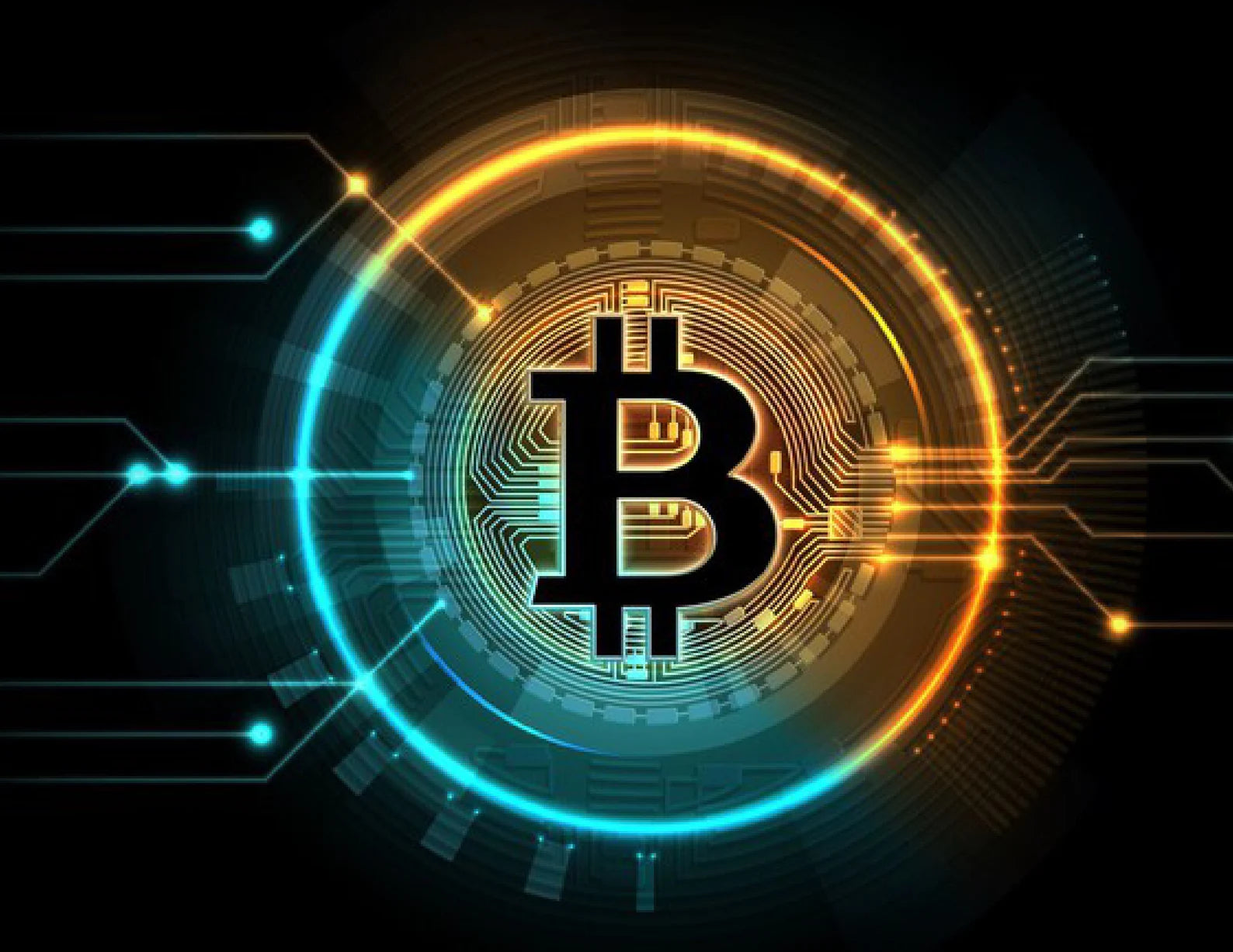 Bitcoin is king Wall calendar 2026