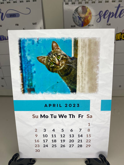 I love my Cats Desk Calendar
